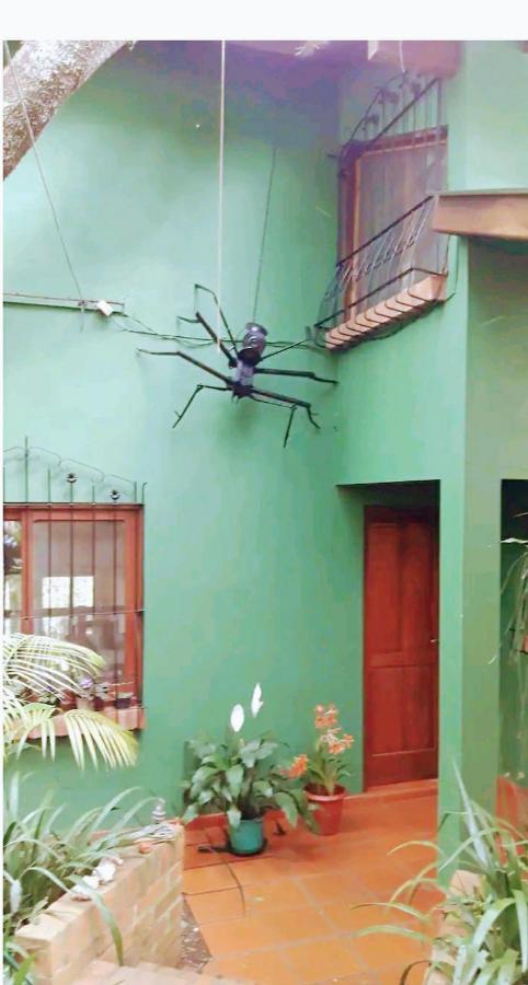 Jardín de Naipí 2 Apartamento Puerto Iguazú Exterior foto
