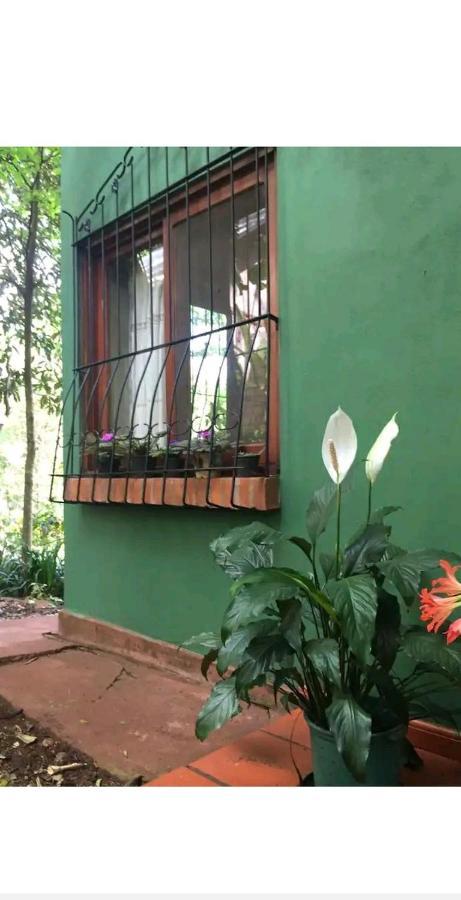 Jardín de Naipí 2 Apartamento Puerto Iguazú Exterior foto